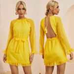 Bright Yellow Dress Chiffon Jacquard Double Fabric - Image 6